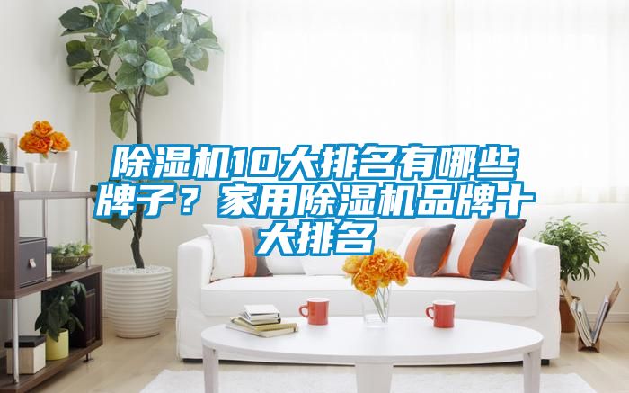 除濕機10大排名有哪些牌子？家用除濕機品牌十大排名