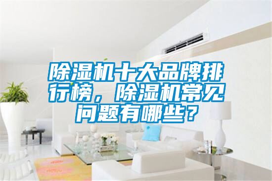 除濕機(jī)十大品牌排行榜，除濕機(jī)常見問題有哪些？