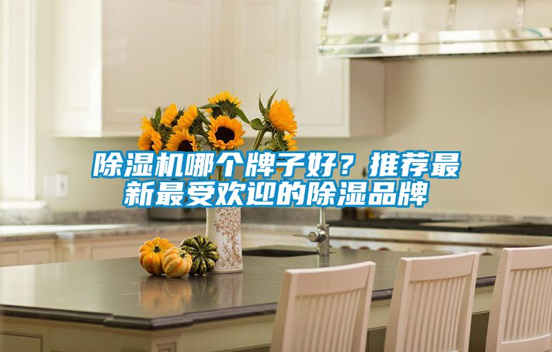 除濕機哪個牌子好？推薦最新最受歡迎的除濕品牌