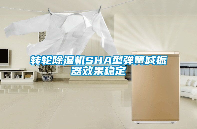 轉輪除濕機SHA型彈簧減振器效果穩(wěn)定