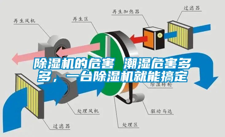 除濕機(jī)的危害 潮濕危害多多，一臺除濕機(jī)就能搞定