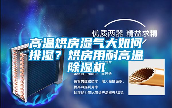 高溫烘房濕氣大如何排濕？烘房用耐高溫除濕機