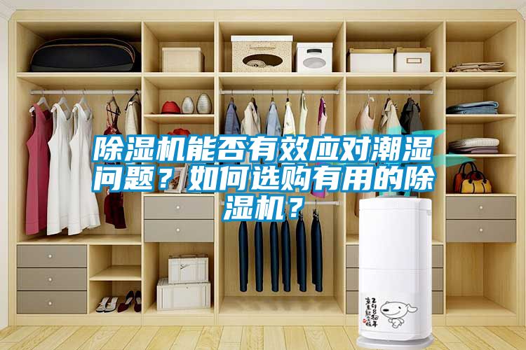 除濕機(jī)能否有效應(yīng)對(duì)潮濕問(wèn)題？如何選購(gòu)有用的除濕機(jī)？