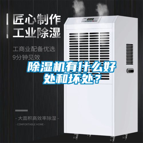除濕機(jī)有什么好處和壞處？