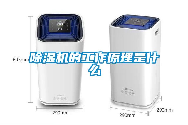 除濕機(jī)的工作原理是什么