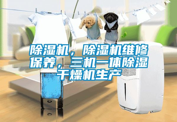 除濕機，除濕機維修保養(yǎng)，三機一體除濕干燥機生產(chǎn)