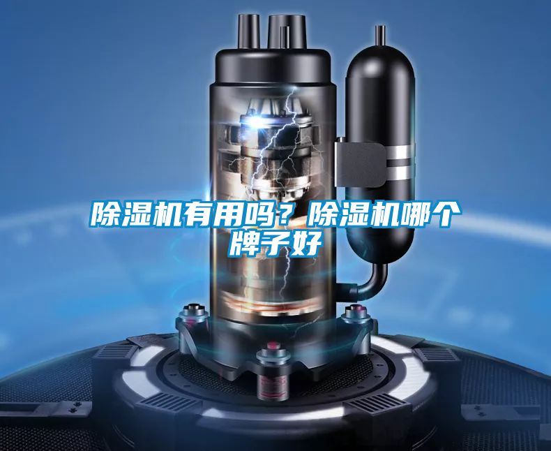 除濕機(jī)有用嗎？除濕機(jī)哪個牌子好
