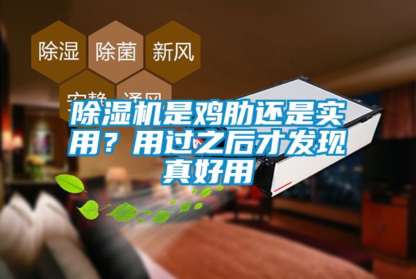 除濕機是雞肋還是實用？用過之后才發(fā)現(xiàn)真好用