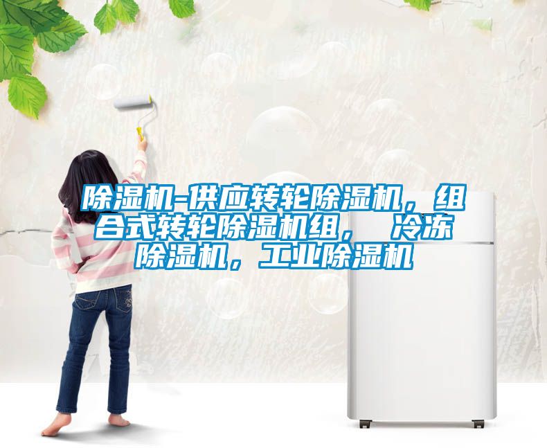 除濕機-供應轉輪除濕機，組合式轉輪除濕機組， 冷凍除濕機，工業(yè)除濕機