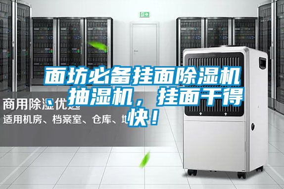 面坊必備掛面除濕機(jī)、抽濕機(jī)，掛面干得快！