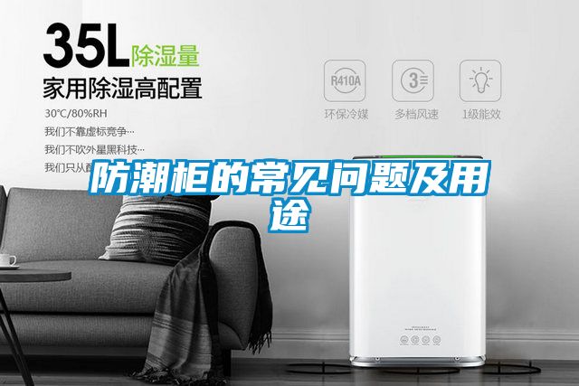 防潮柜的常見(jiàn)問(wèn)題及用途