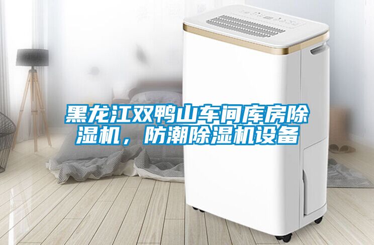 黑龍江雙鴨山車間庫房除濕機(jī)，防潮除濕機(jī)設(shè)備