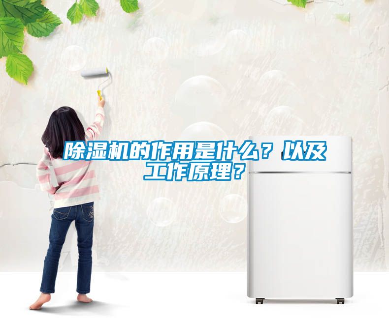 除濕機的作用是什么？以及工作原理？