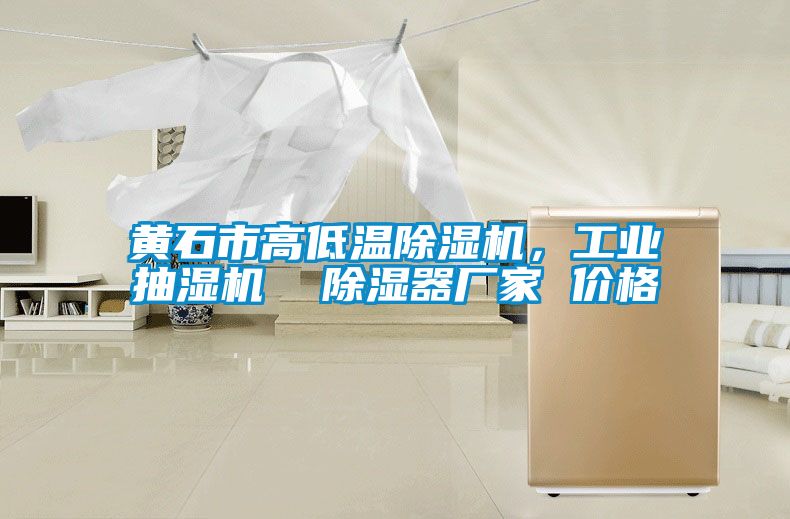 黃石市高低溫除濕機(jī)，工業(yè)抽濕機(jī)  除濕器廠家 價(jià)格