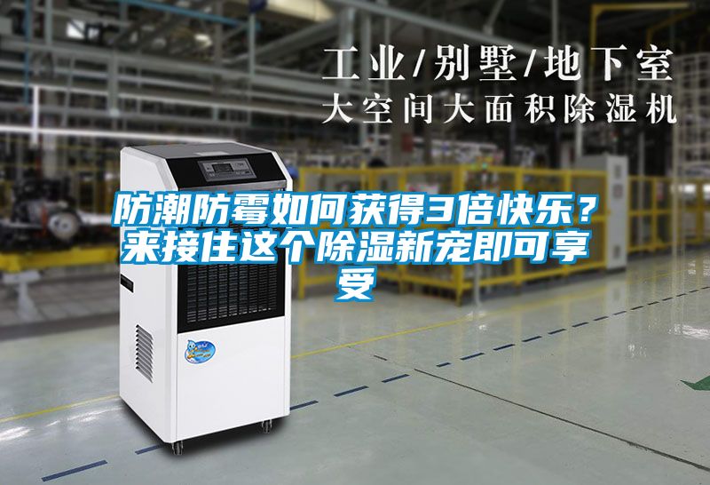 防潮防霉如何獲得3倍快樂？來接住這個除濕新寵即可享受