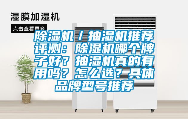 除濕機(jī)／抽濕機(jī)推薦評(píng)測(cè)：除濕機(jī)哪個(gè)牌子好？抽濕機(jī)真的有用嗎？怎么選？具體品牌型號(hào)推薦