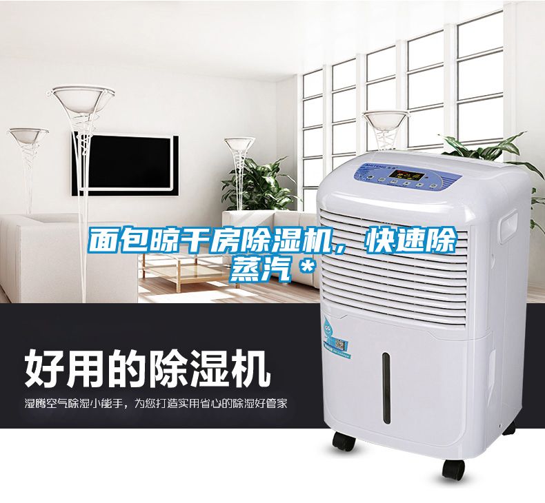 面包晾干房除濕機(jī)，快速除蒸汽＊