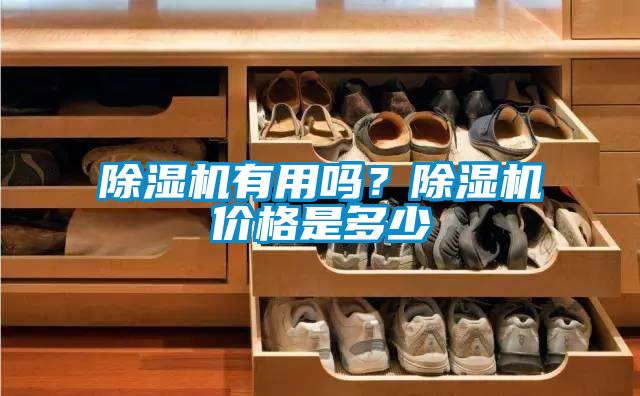 除濕機(jī)有用嗎？除濕機(jī)價格是多少