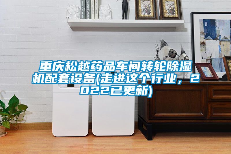 重慶松越藥品車間轉(zhuǎn)輪除濕機(jī)配套設(shè)備(走進(jìn)這個(gè)行業(yè)，2022已更新)