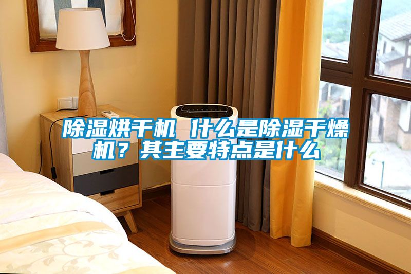 除濕烘干機(jī) 什么是除濕干燥機(jī)？其主要特點(diǎn)是什么