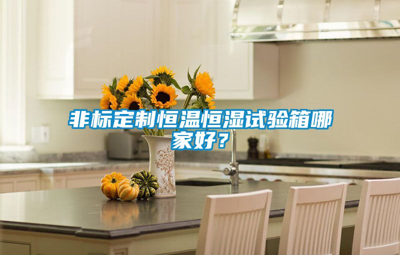 非標(biāo)定制恒溫恒濕試驗箱哪家好？