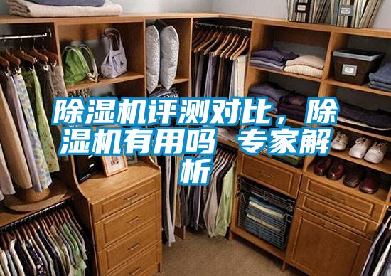 除濕機(jī)評(píng)測(cè)對(duì)比，除濕機(jī)有用嗎 專(zhuān)家解析