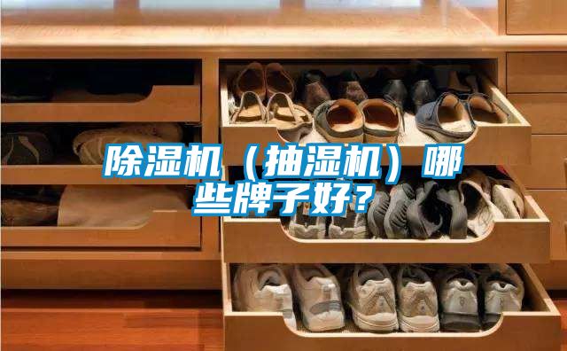 除濕機(jī)（抽濕機(jī)）哪些牌子好？