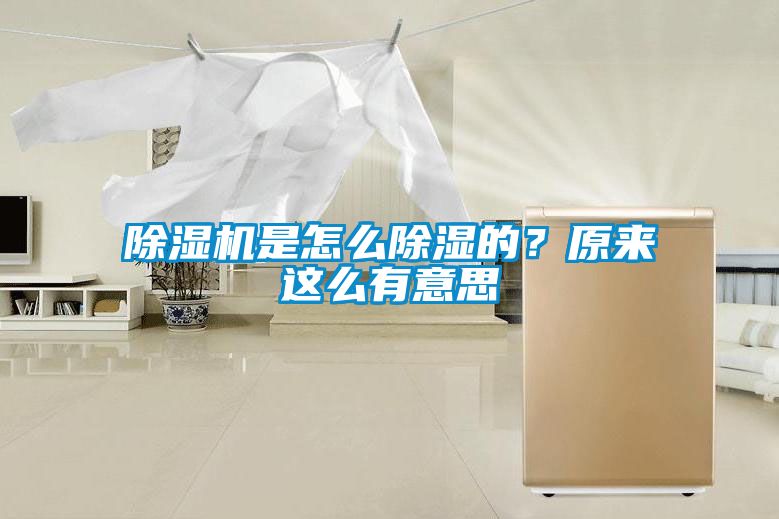 除濕機(jī)是怎么除濕的？原來這么有意思