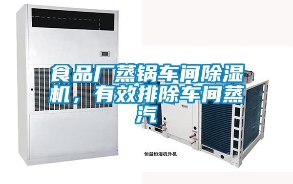 食品廠蒸鍋車間除濕機(jī)，有效排除車間蒸汽