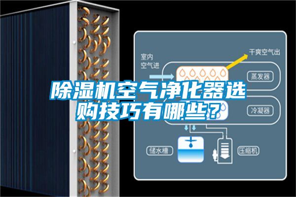 除濕機(jī)空氣凈化器選購技巧有哪些？