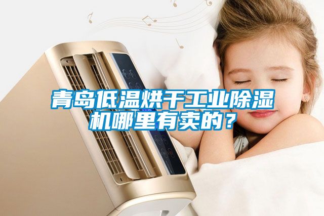 青島低溫烘干工業(yè)除濕機(jī)哪里有賣(mài)的？