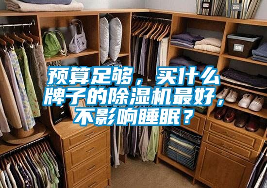 預(yù)算足夠，買什么牌子的除濕機最好，不影響睡眠？