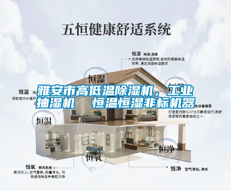 雅安市高低溫除濕機(jī)，工業(yè)抽濕機(jī)  恒溫恒濕非標(biāo)機(jī)器
