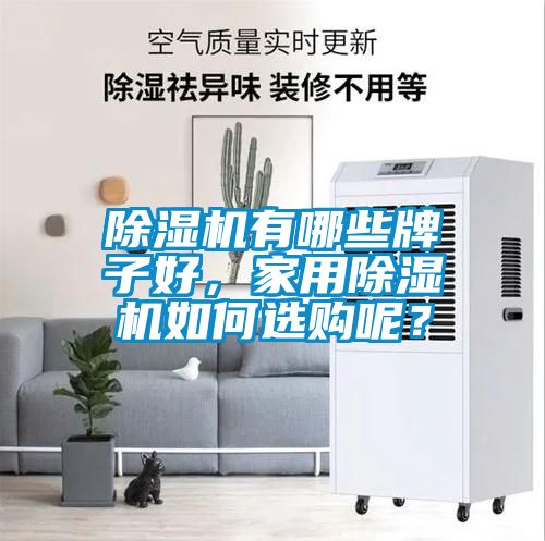 除濕機(jī)有哪些牌子好，家用除濕機(jī)如何選購(gòu)呢？