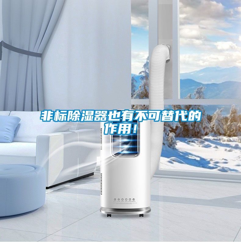 非標(biāo)除濕器也有不可替代的作用！