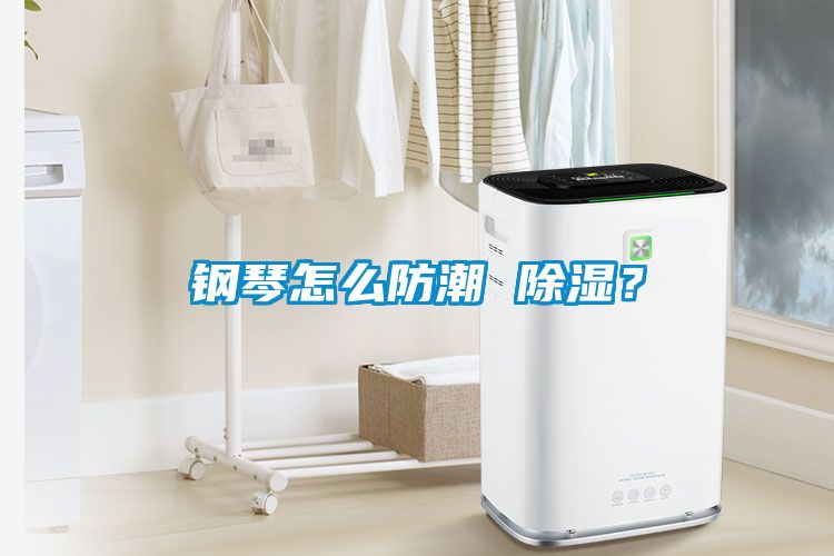 鋼琴怎么防潮 除濕？