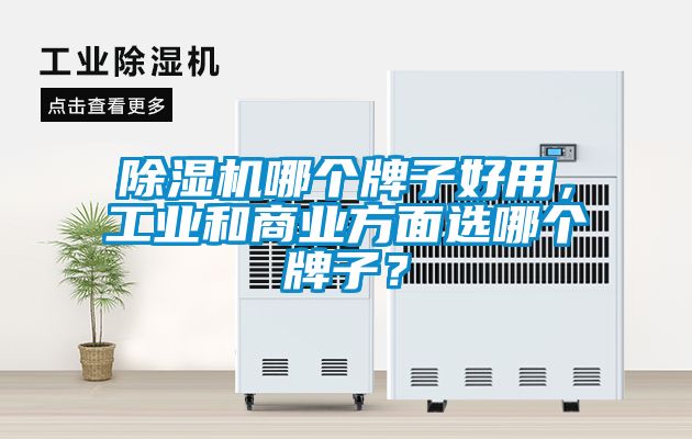 除濕機(jī)哪個(gè)牌子好用，工業(yè)和商業(yè)方面選哪個(gè)牌子？