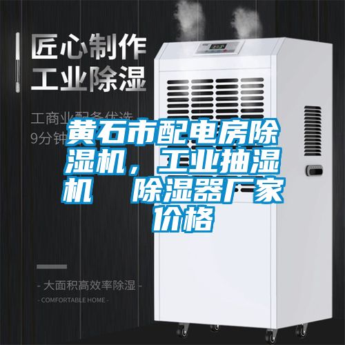 黃石市配電房除濕機(jī)，工業(yè)抽濕機(jī)  除濕器廠家 價(jià)格