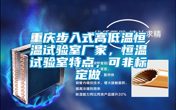 重慶步入式高低溫恒溫試驗(yàn)室廠家，恒溫試驗(yàn)室特點(diǎn)，可非標(biāo)定做