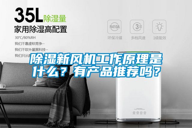除濕新風(fēng)機(jī)工作原理是什么？有產(chǎn)品推薦嗎？