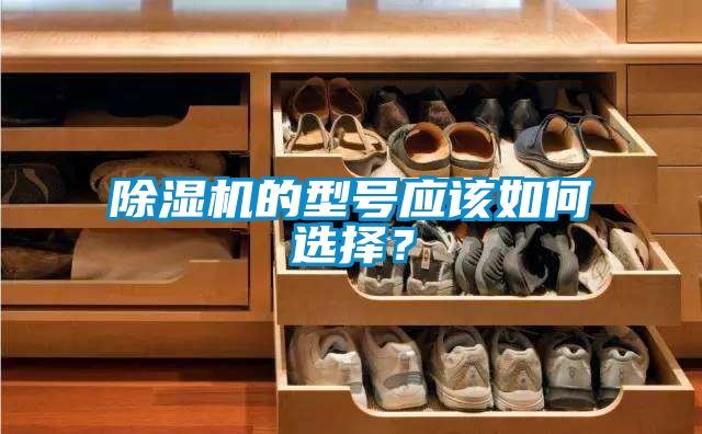 除濕機(jī)的型號應(yīng)該如何選擇？
