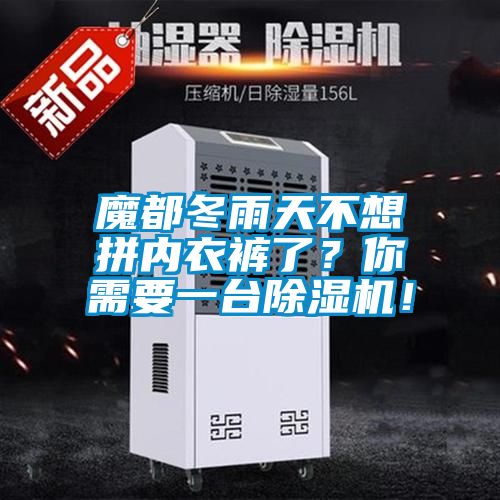 魔都冬雨天不想拼內(nèi)衣褲了？你需要一臺(tái)除濕機(jī)！
