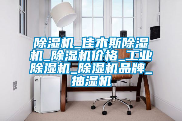 除濕機(jī)_佳木斯除濕機(jī)_除濕機(jī)價格_工業(yè)除濕機(jī)_除濕機(jī)品牌_抽濕機(jī)