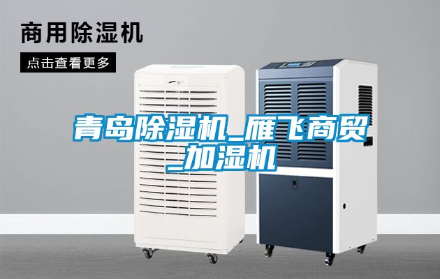 青島除濕機_雁飛商貿(mào)_加濕機