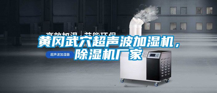 黃岡武穴超聲波加濕機，除濕機廠家