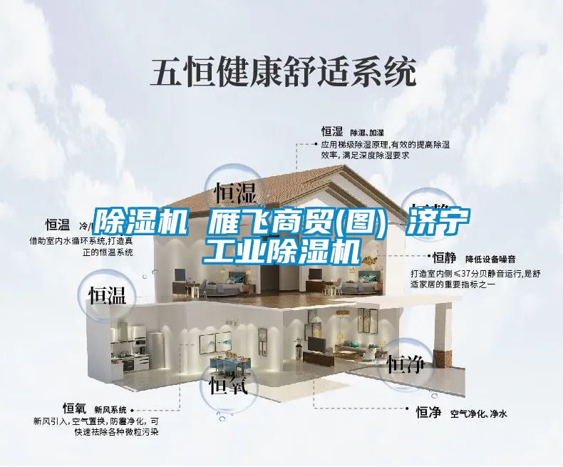 除濕機 雁飛商貿(圖) 濟寧工業(yè)除濕機