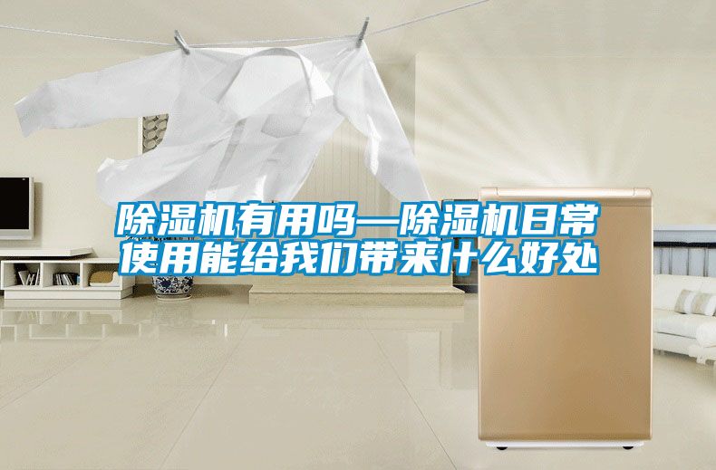 除濕機(jī)有用嗎—除濕機(jī)日常使用能給我們帶來(lái)什么好處