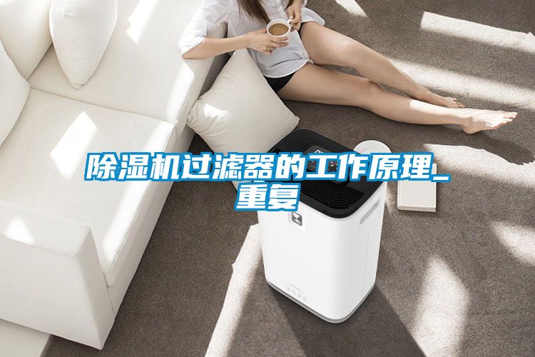 除濕機(jī)過(guò)濾器的工作原理_重復(fù)