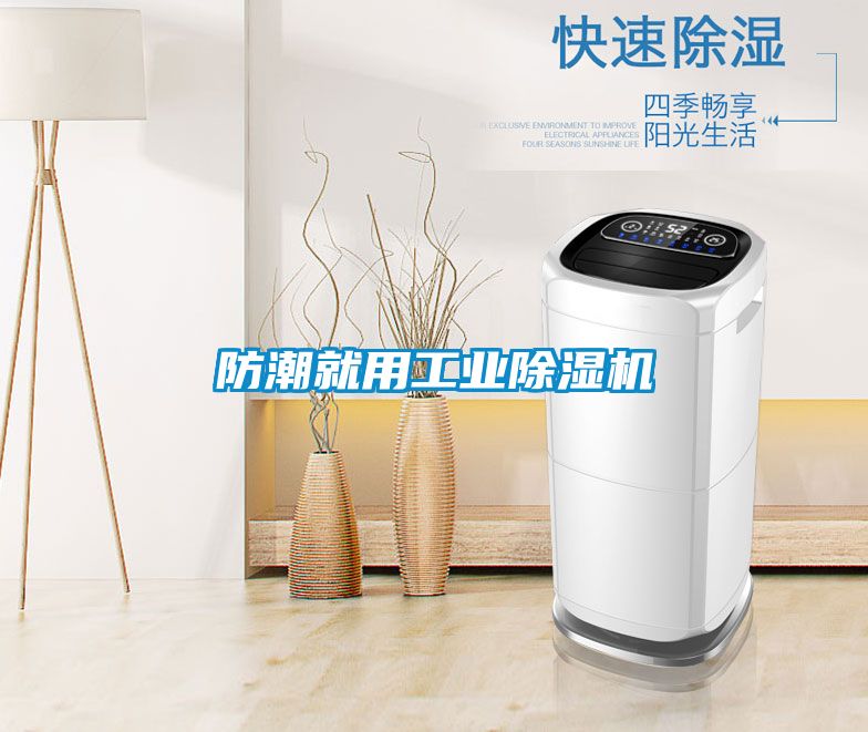 防潮就用工業(yè)除濕機