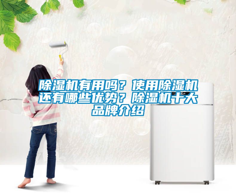 除濕機(jī)有用嗎？使用除濕機(jī)還有哪些優(yōu)勢？除濕機(jī)十大品牌介紹
